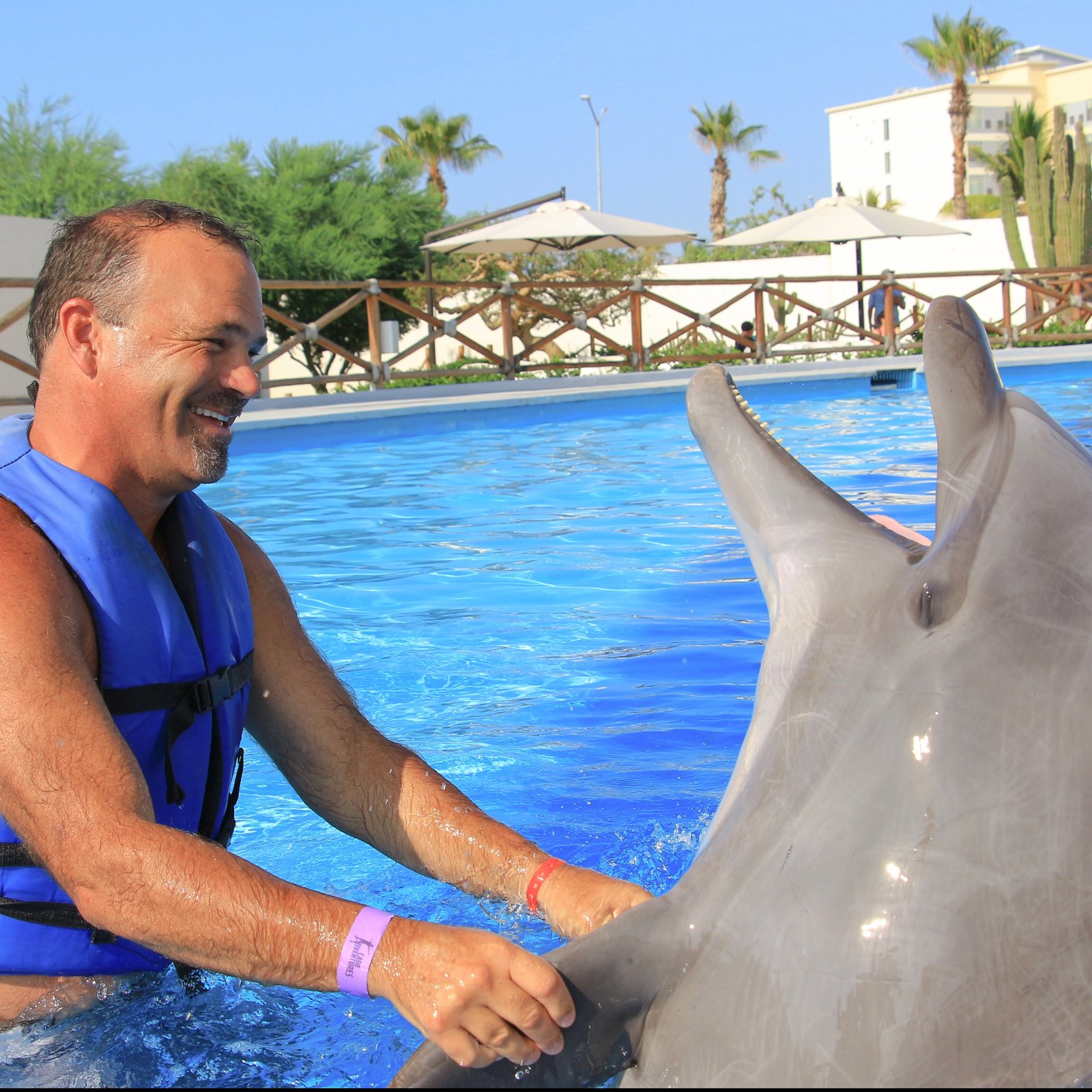 Dolphin Experience