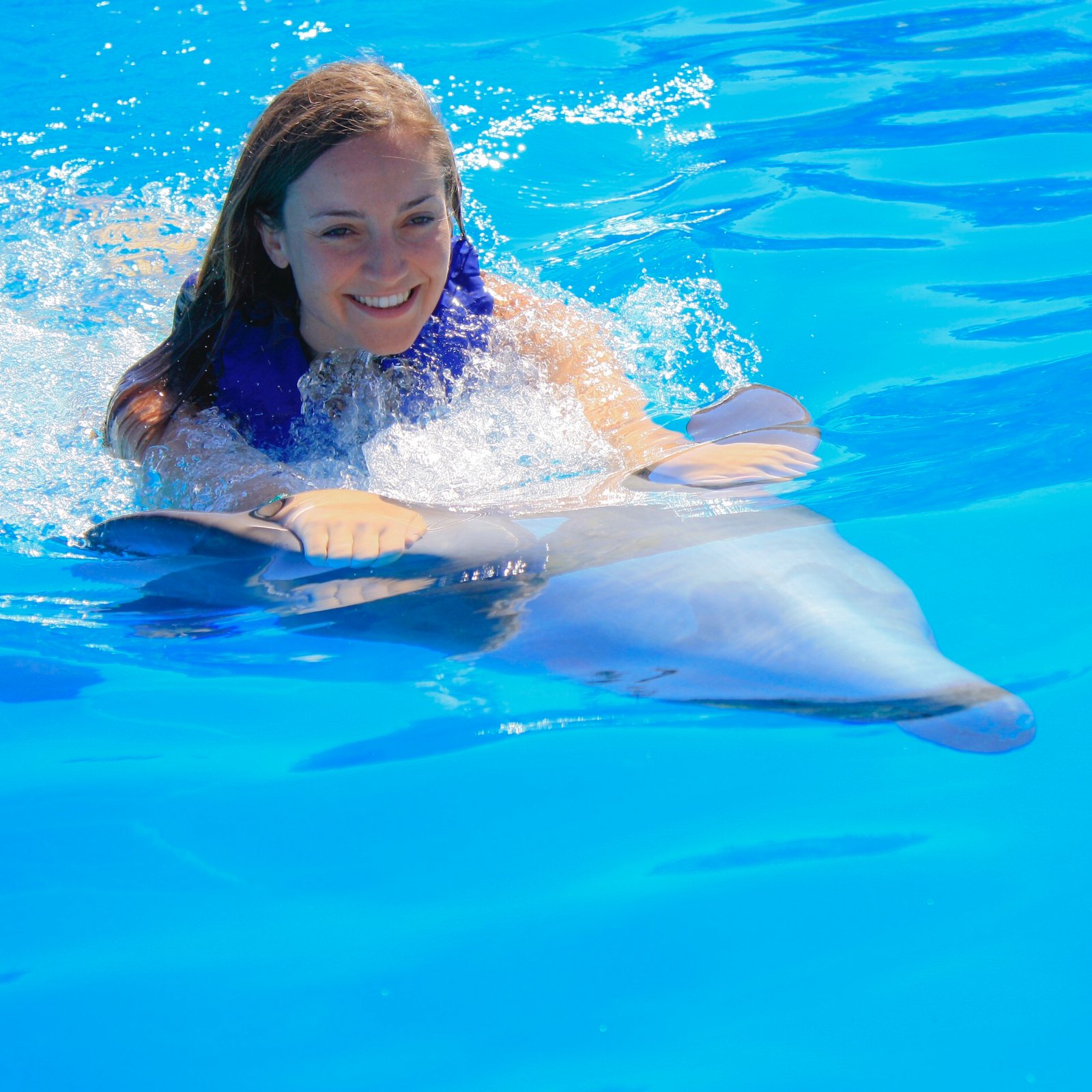 Dolphin Experience