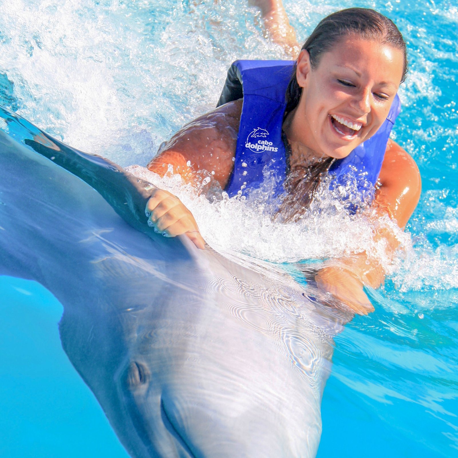 Dolphin Experience