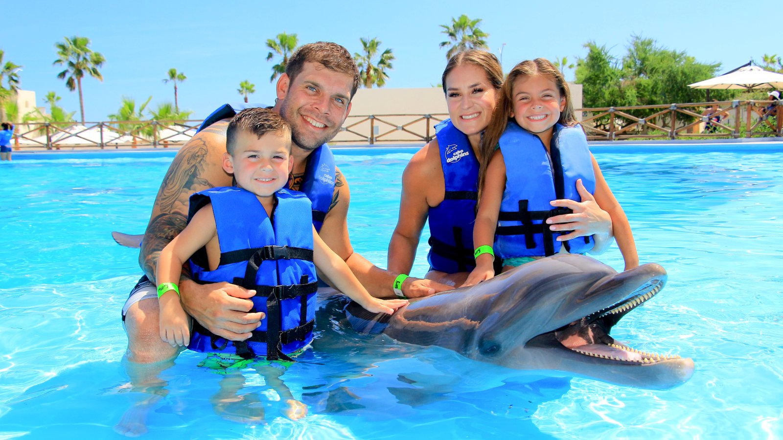 Dolphin Family Encounter