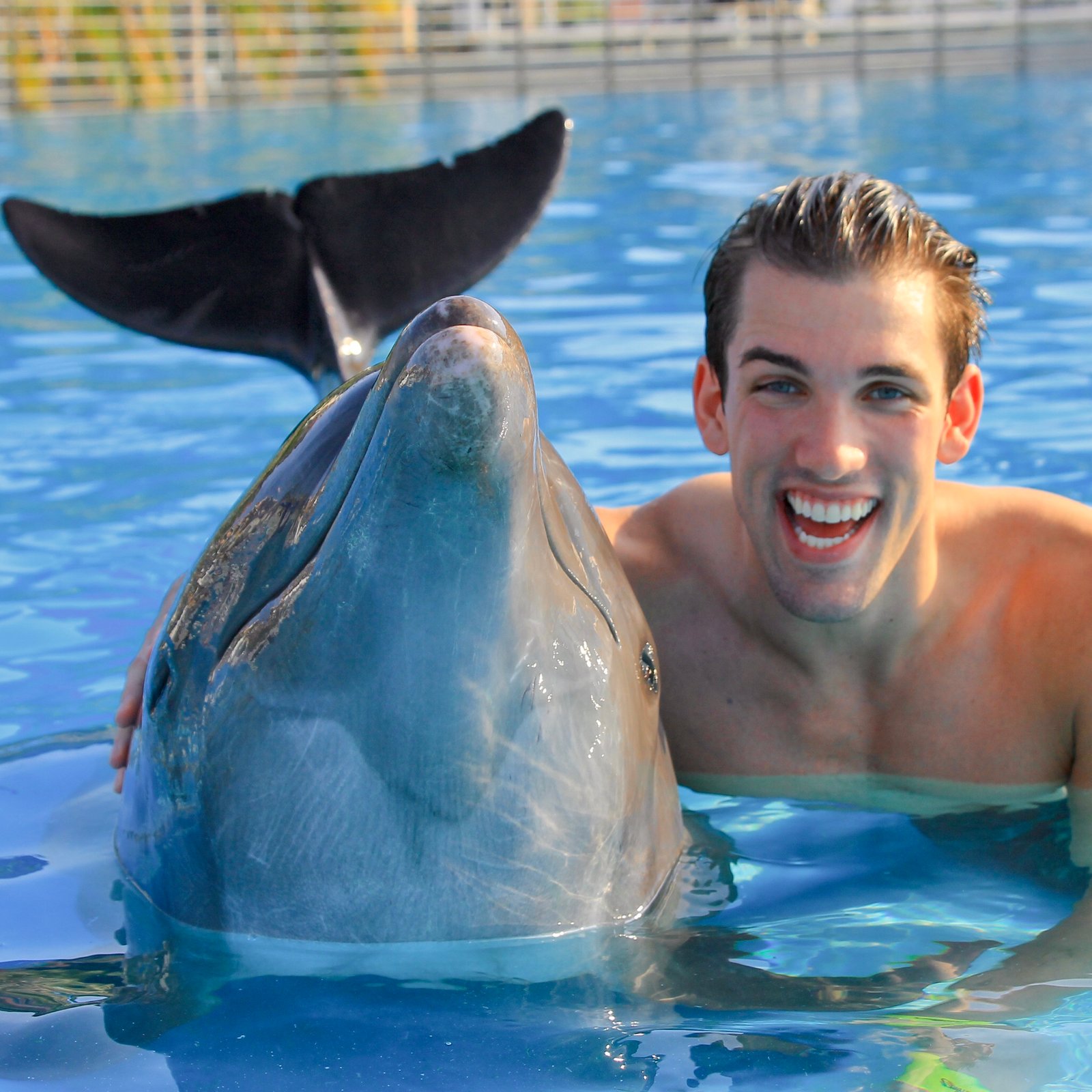 Dolphin Family Encounter