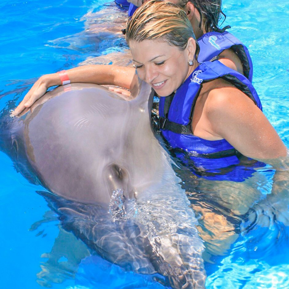 Dolphin Family Encounter