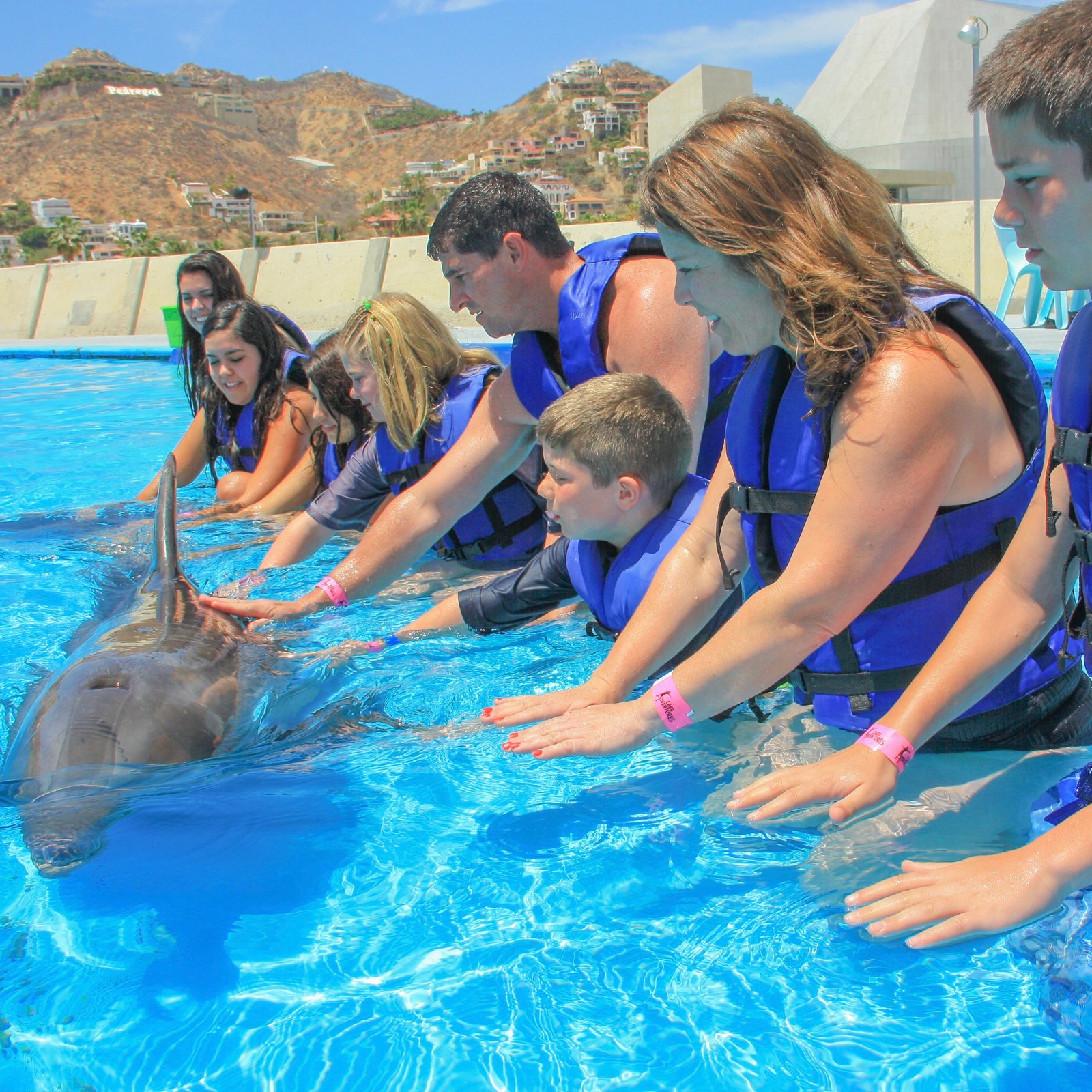 Dolphin Family Encounter