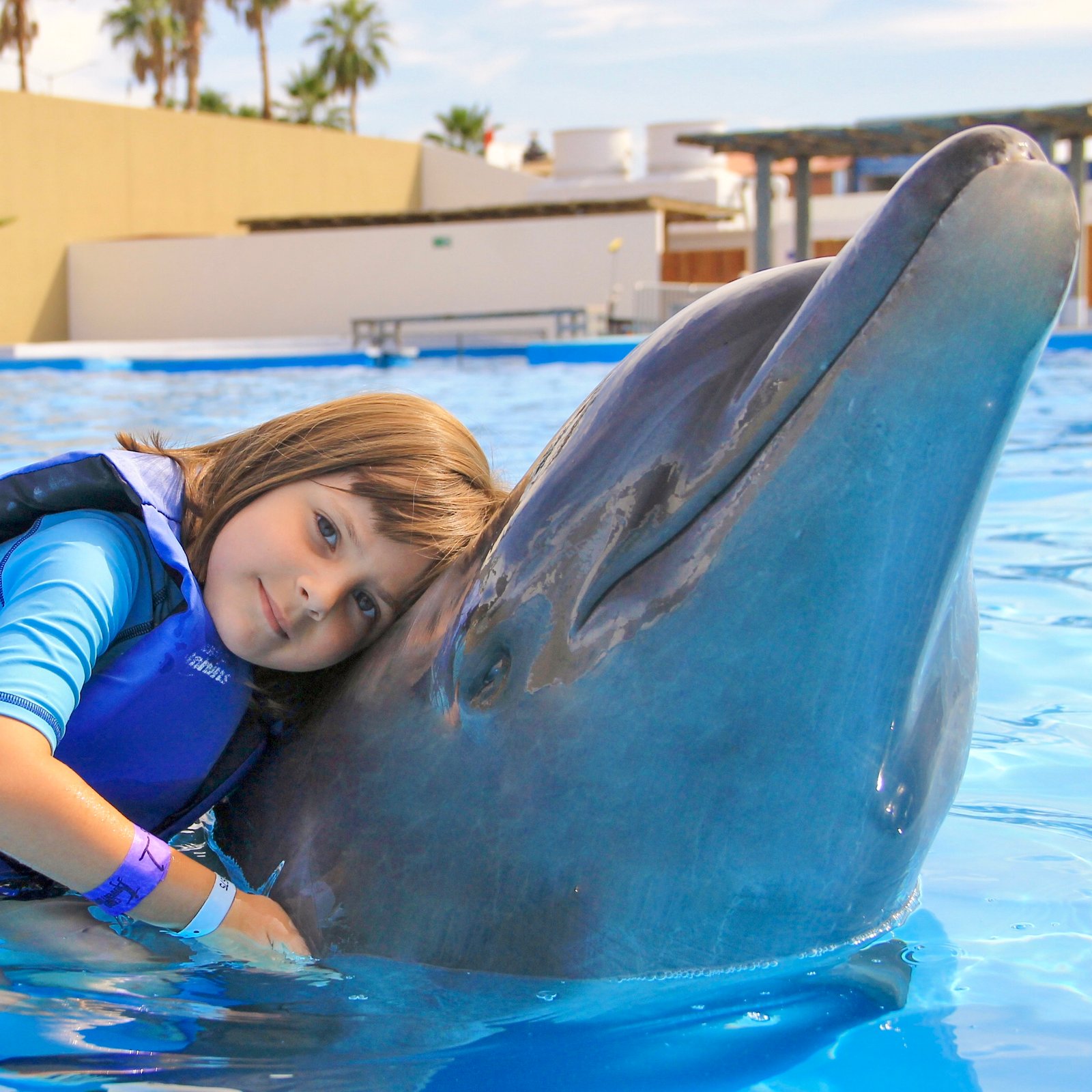 Dolphin Family Encounter