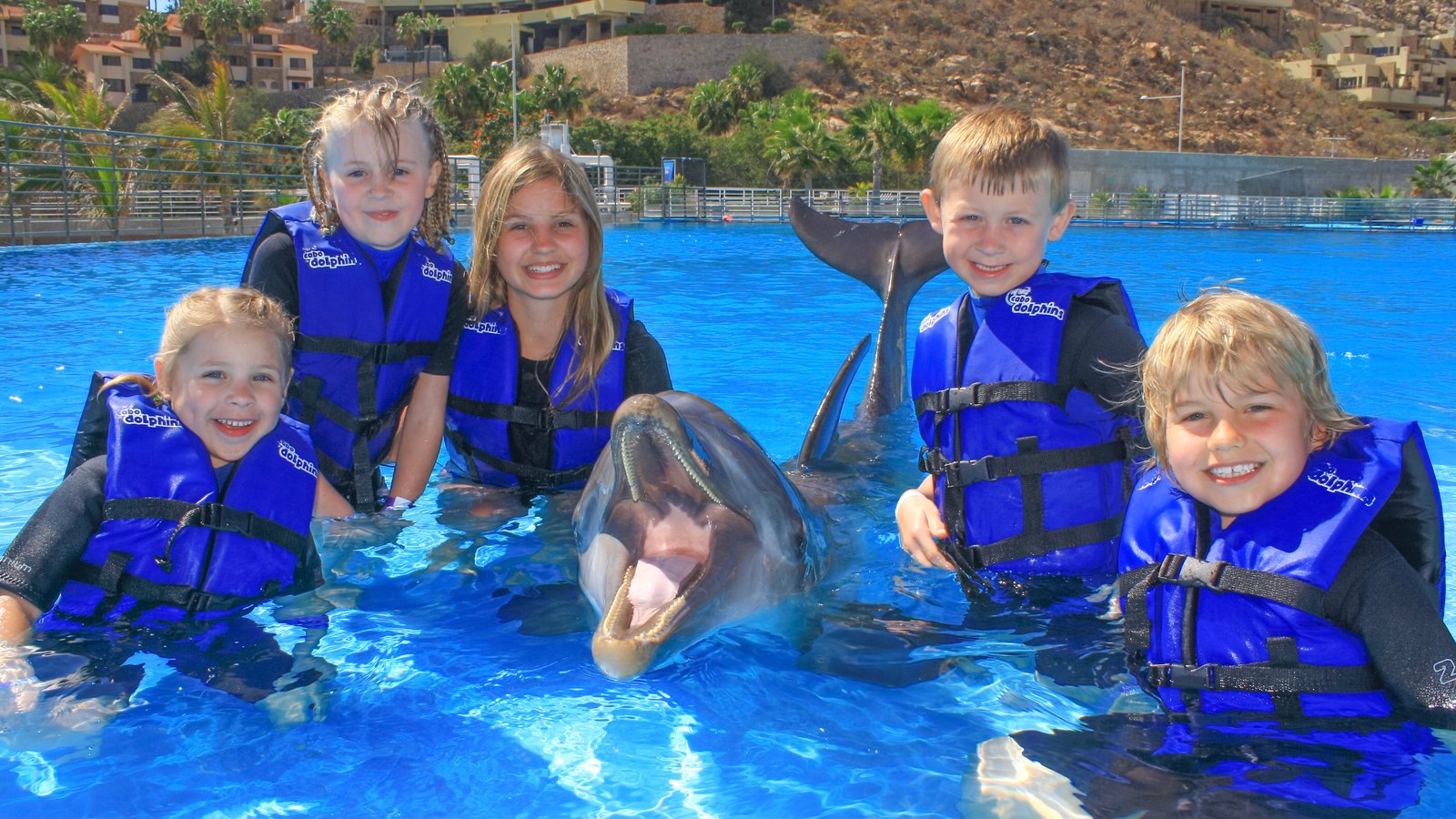 Dolphin Kids