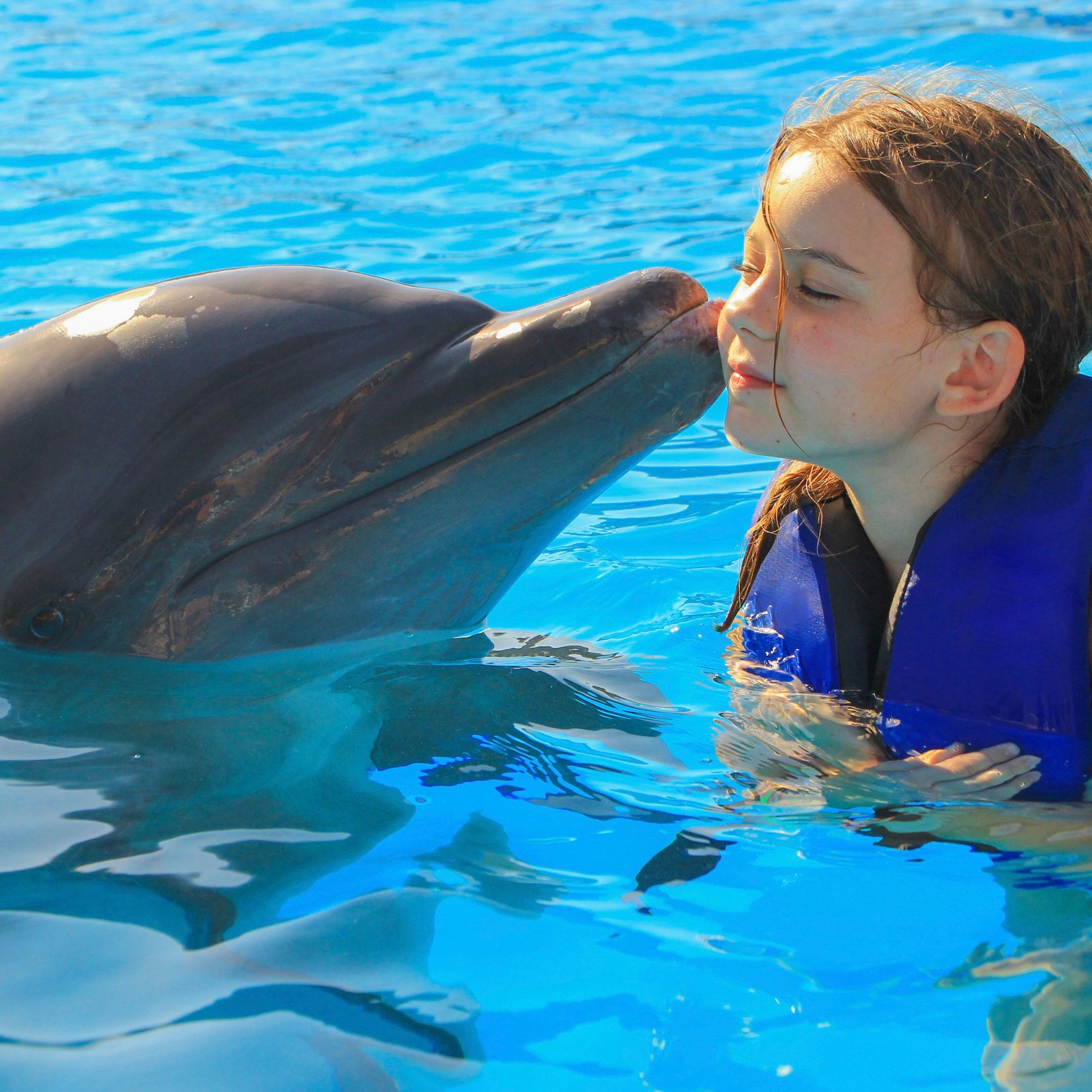 Dolphin Kids