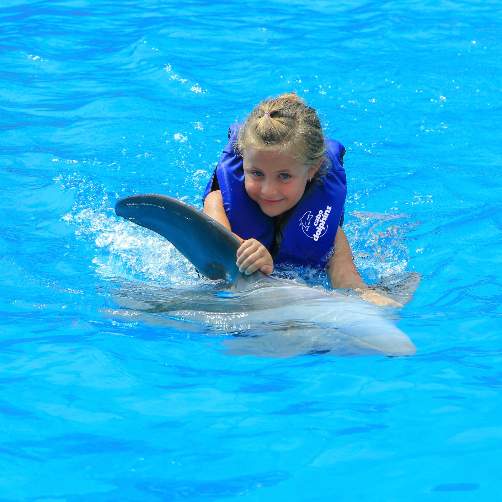 Dolphin Kids