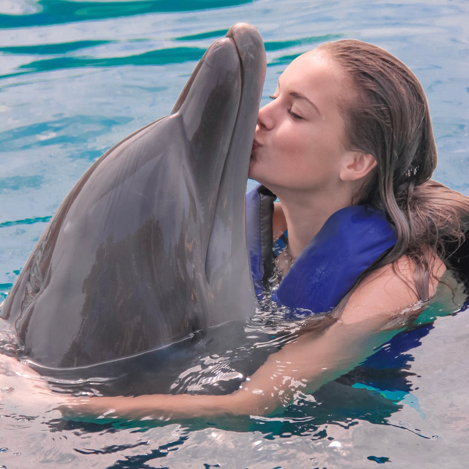 Dolphin Signature Swim