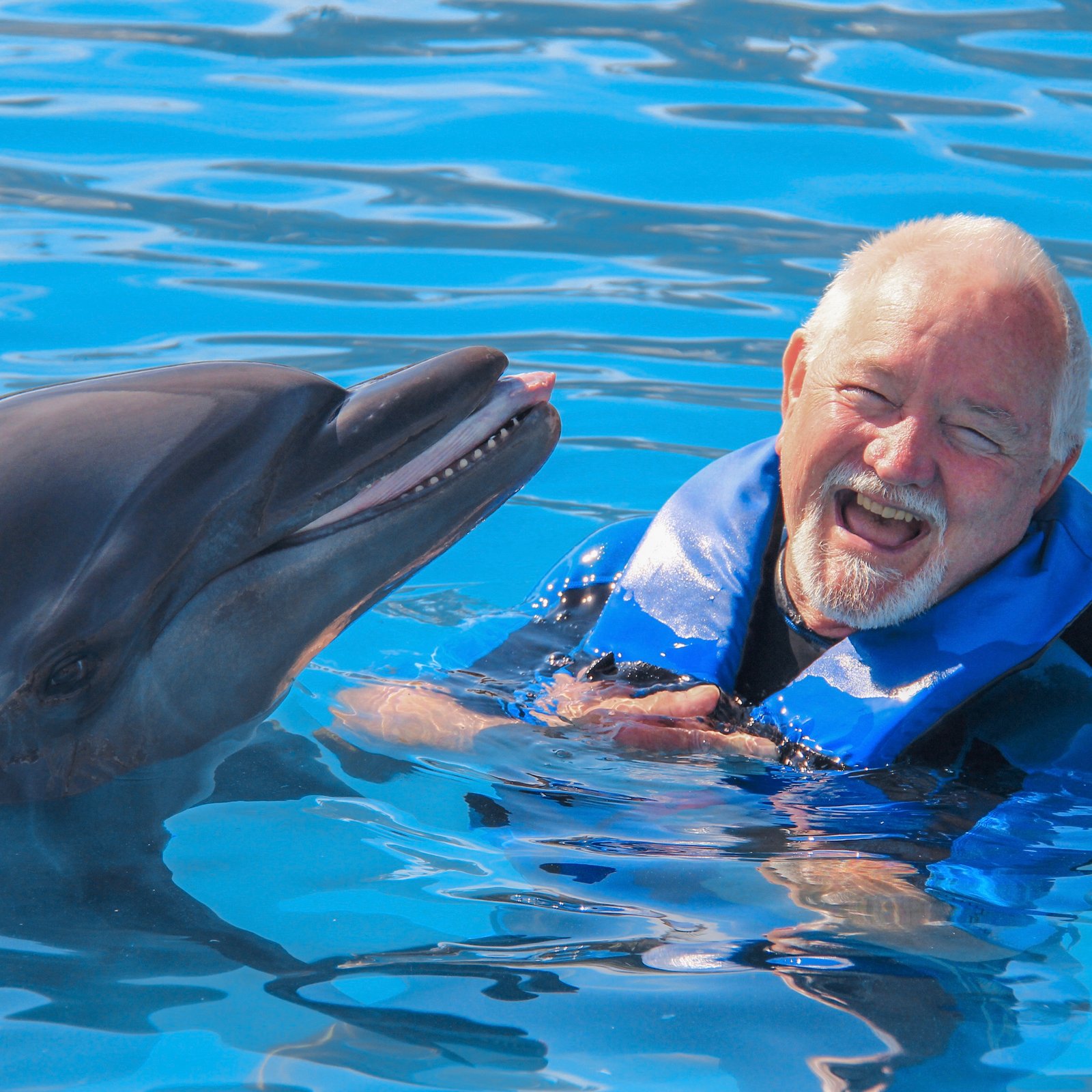 Dolphin Signature Swim