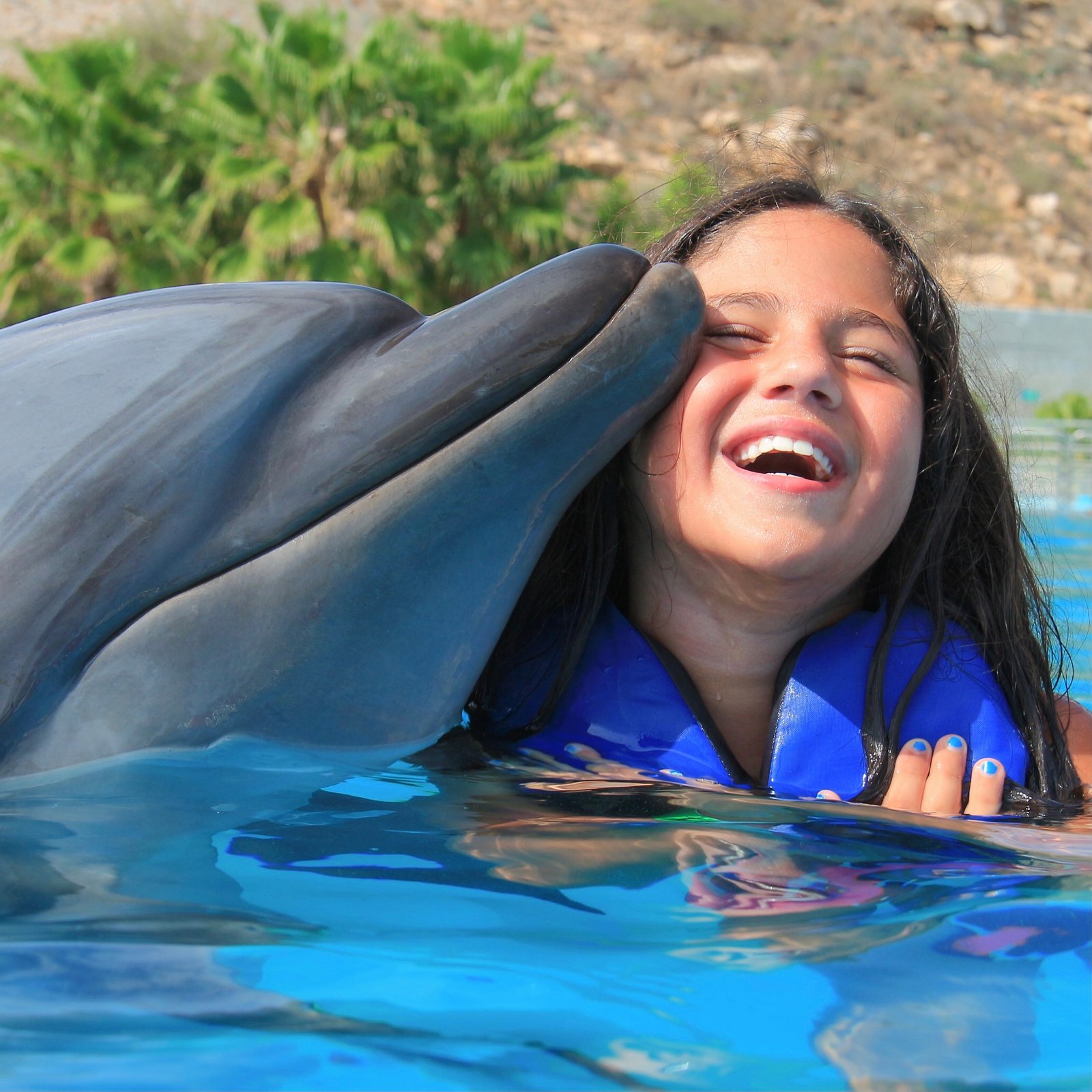 Dolphin Signature Swim