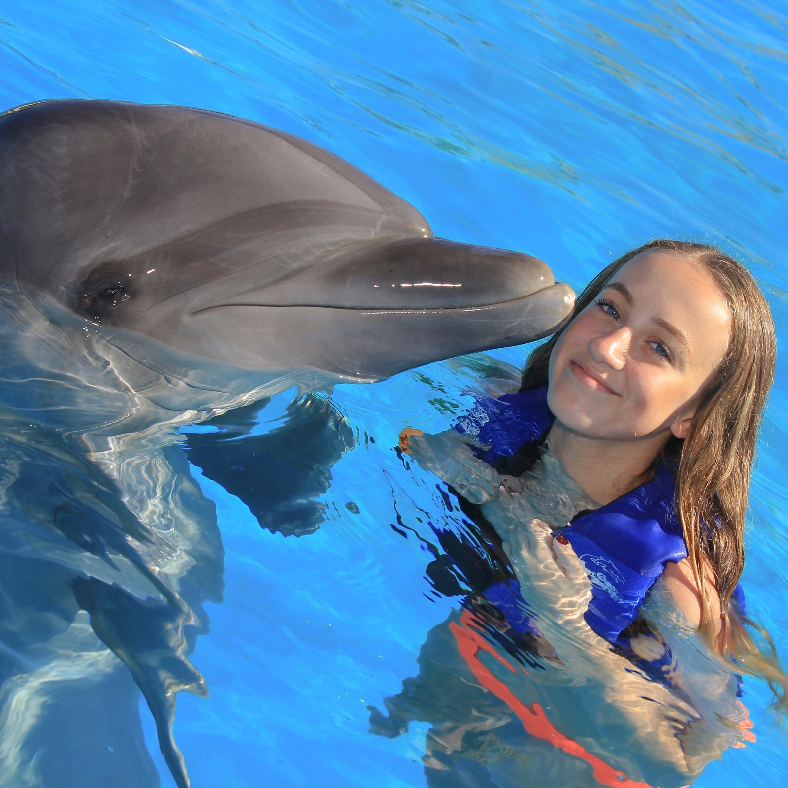 Dolphin Signature Swim