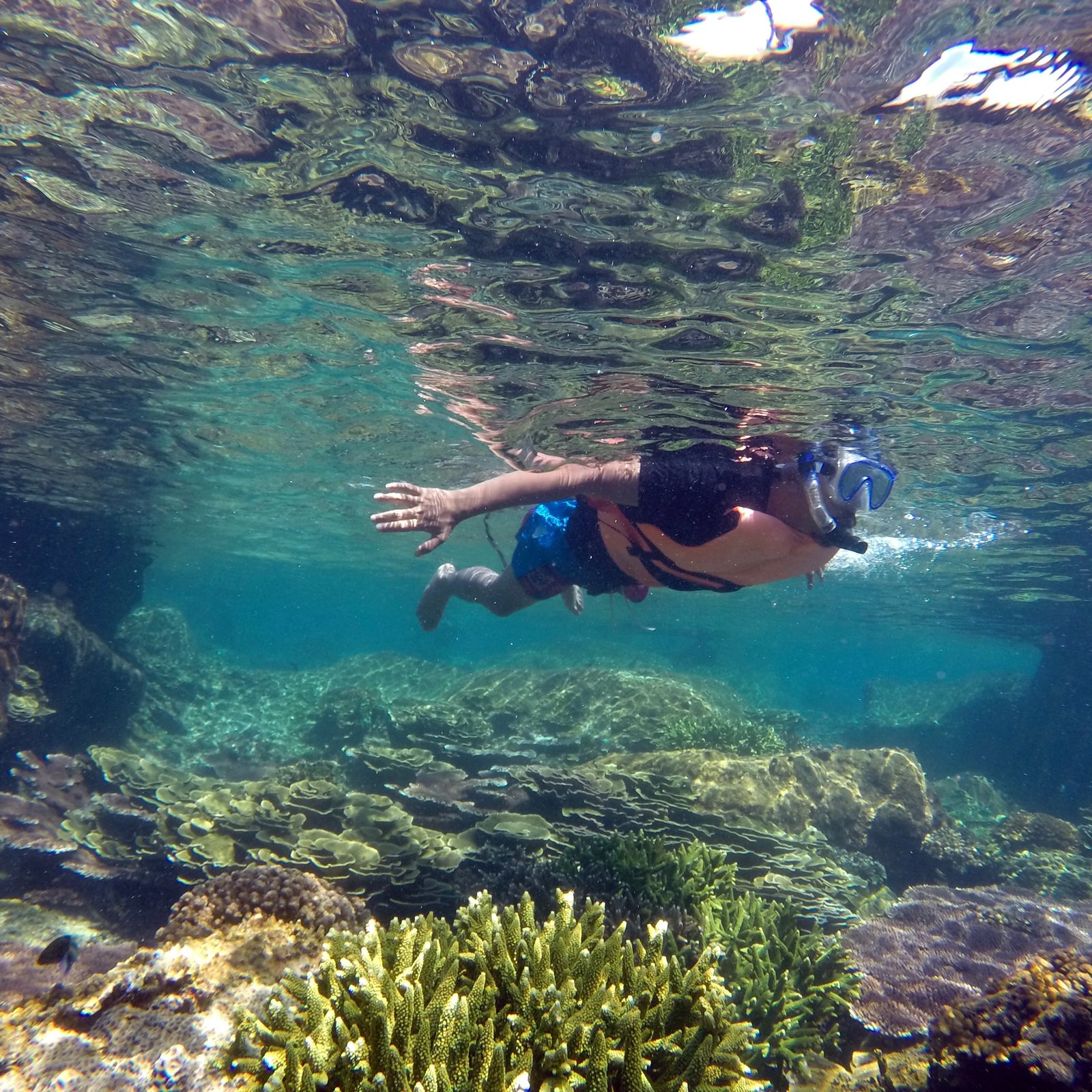Cabo Pulmo Snorkel Expedition