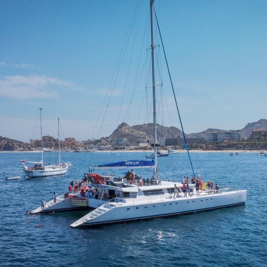 Eco Cat snorkeling at Santa María Bay