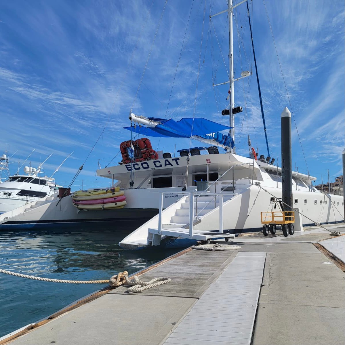 Eco Cat snorkeling cruise in Los Cabos