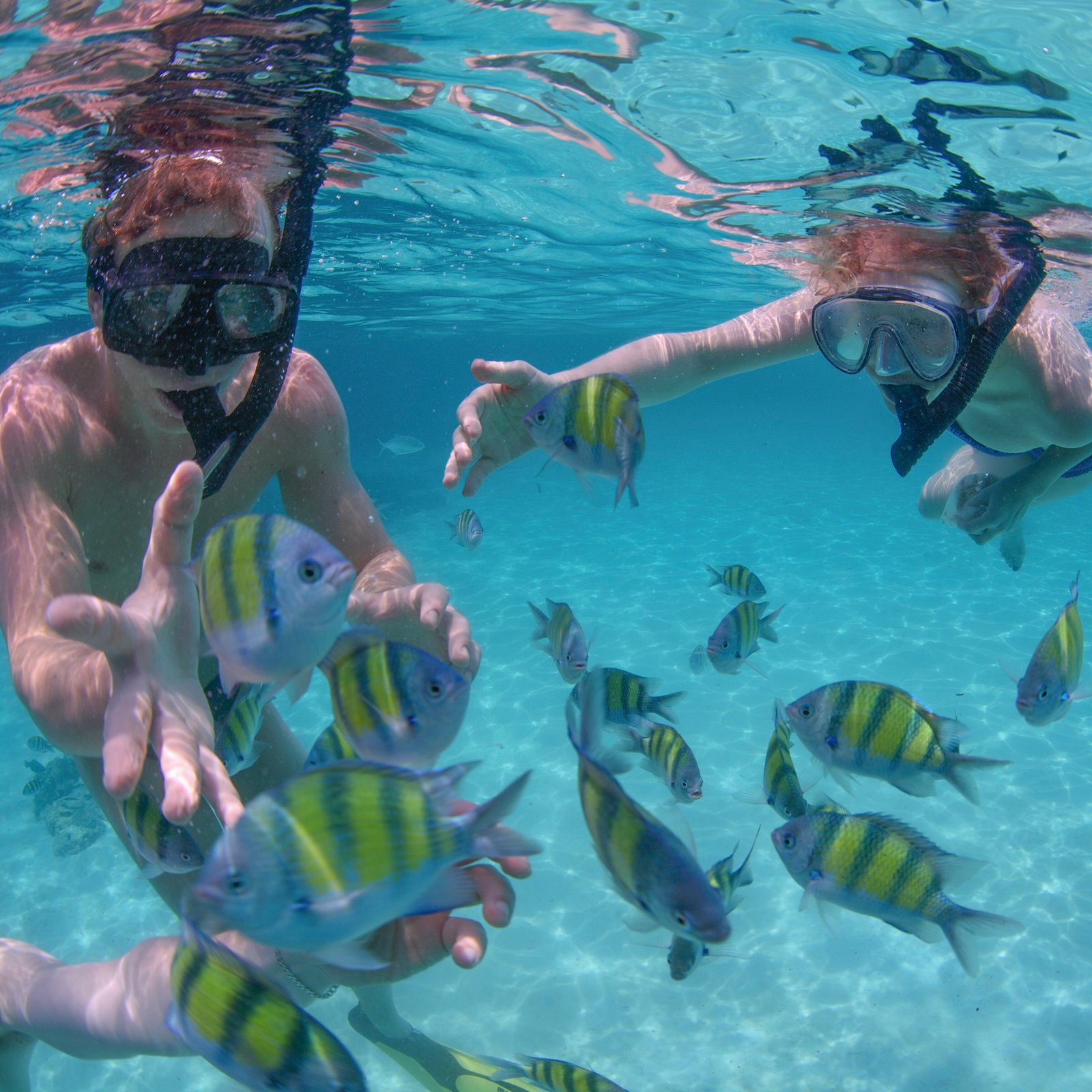 Tropical fish at Santa María Bay