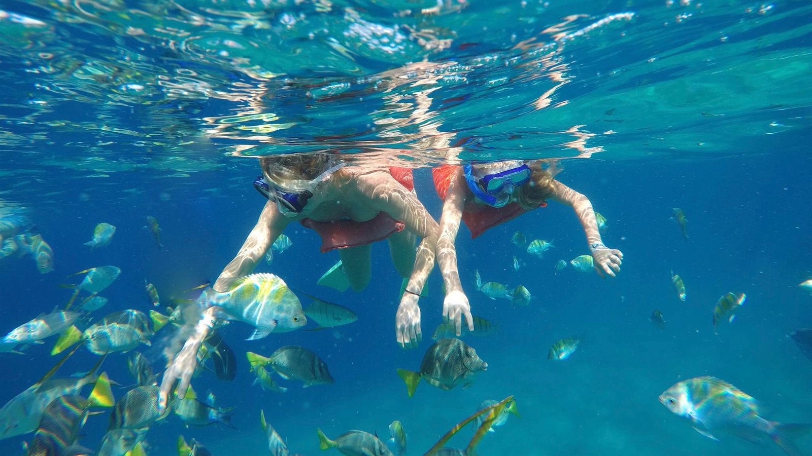 Snorkeling in Los Cabos
